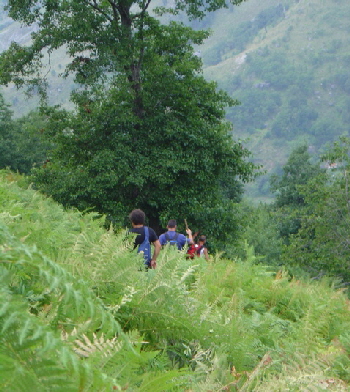 DSC01078