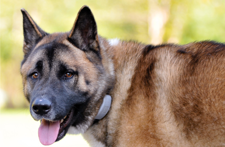 Lorem ipsum Lorem ipsum